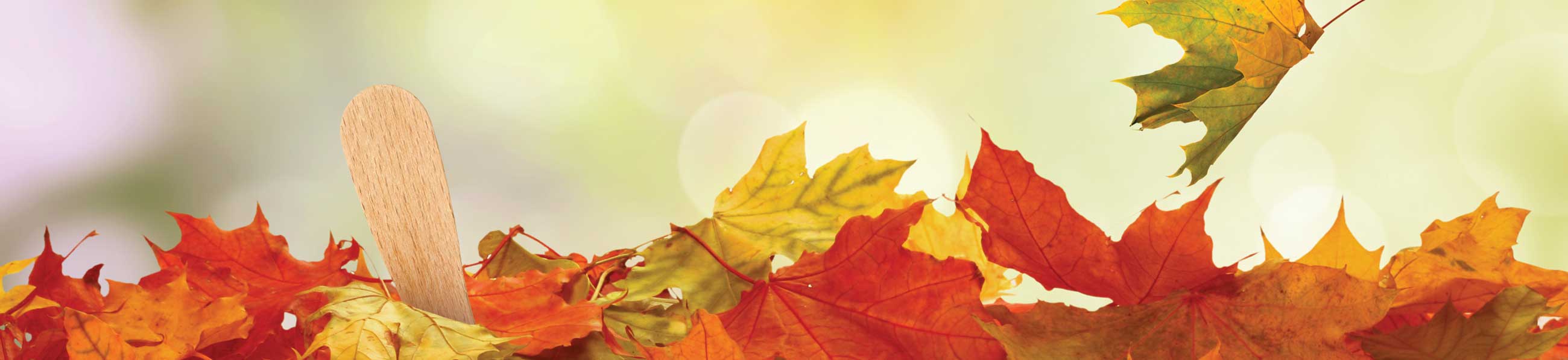 clip art banner autumn - photo #45